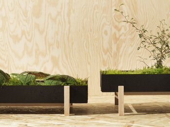 Design House Stockholm Botanic flower tray