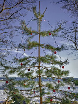 Marimekko Holiday ornament, 2 pcs, terra