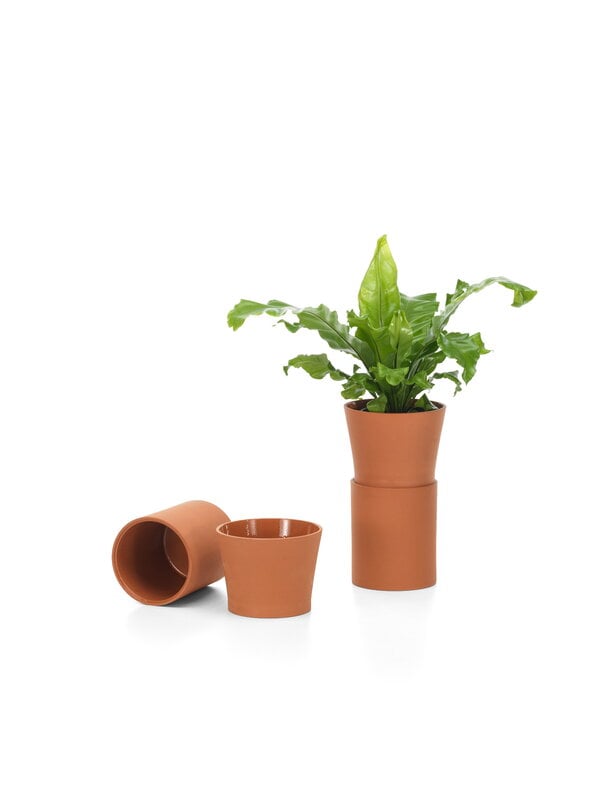 Planters & plant pots, Terracotta pot, M, terracotta, Brown