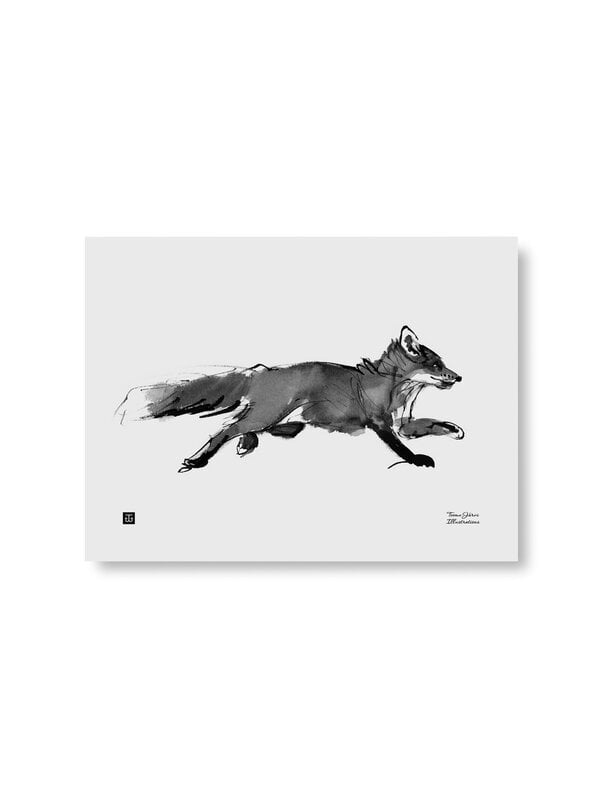 Posters, Adventurous Fox poster, 40 x 30 cm, Black & white