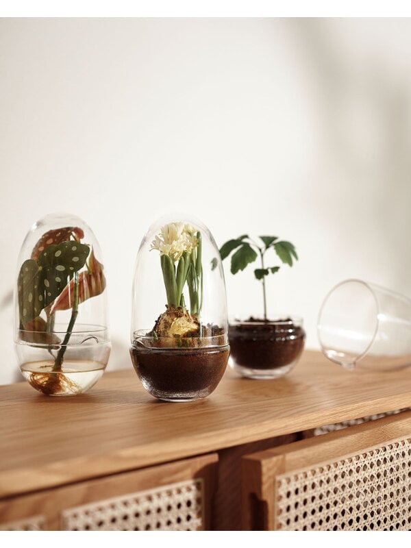 Vasi per erbe/fiori, Mini serra Grow, M, Verde