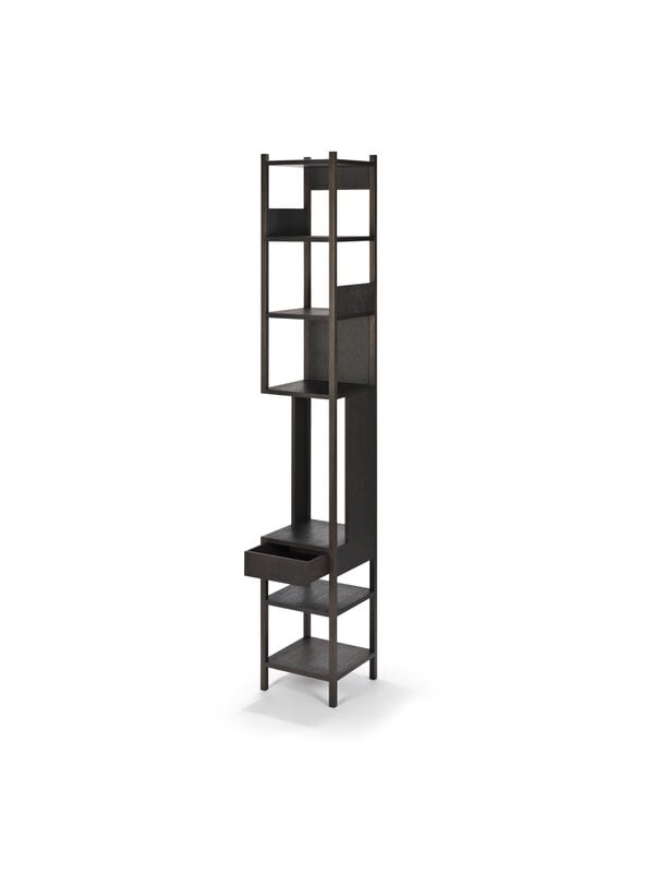 Librerie, Scaffale Lungangolo, sinistro, rovere affumicato oliato nero, Nero