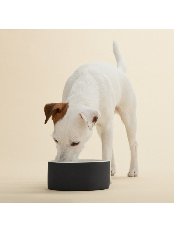 Pet accessories, Cool bowl M, black, Black