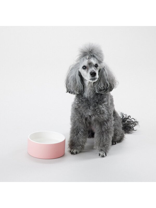 Pet accessories, Cool bowl M, pink, Pink