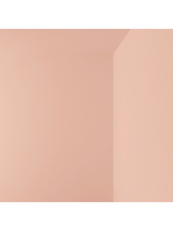 Pitture, Campione di pittura, LB5 EDITH - dusty pink, Rosa