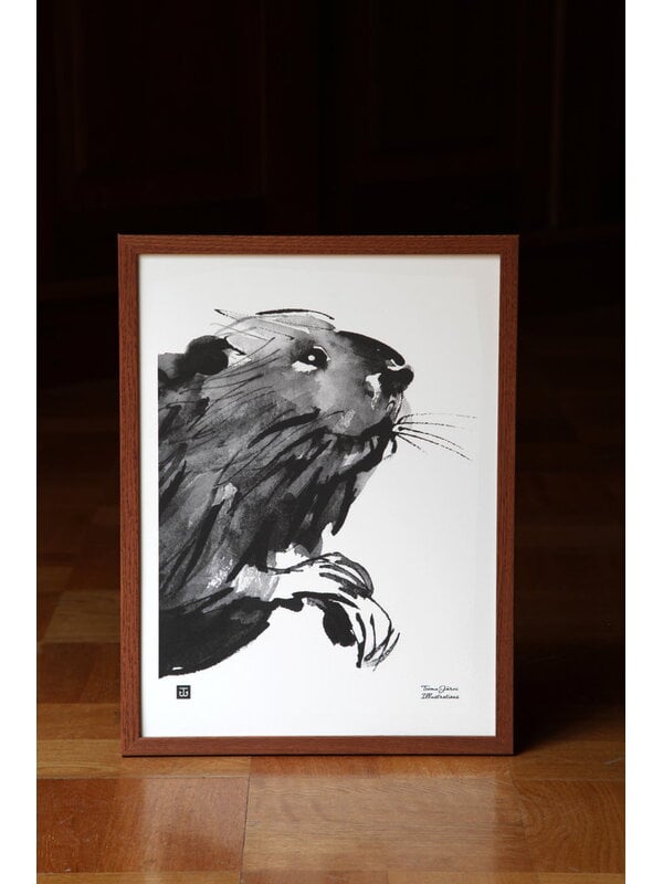 Posters, Curious beaver poster, 30 x 40 cm, Black & white