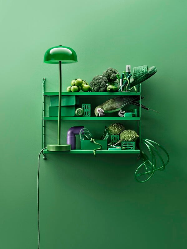 Scaffali da parete, Scaffale String Pocket, verde, Verde