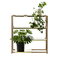Adea The Botanic Shelf, natural oak - brass