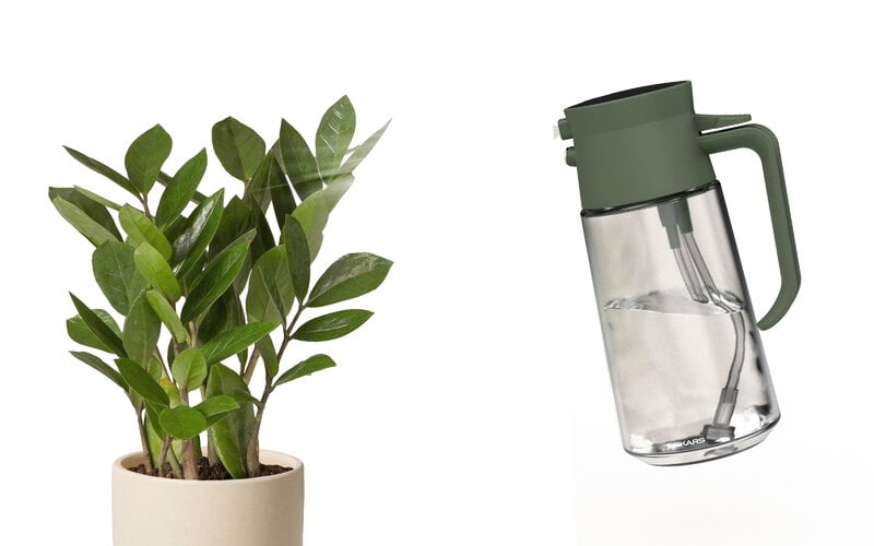 Fiskars Arrosoir Plant Care mist and pour, vert - transparent, image extra