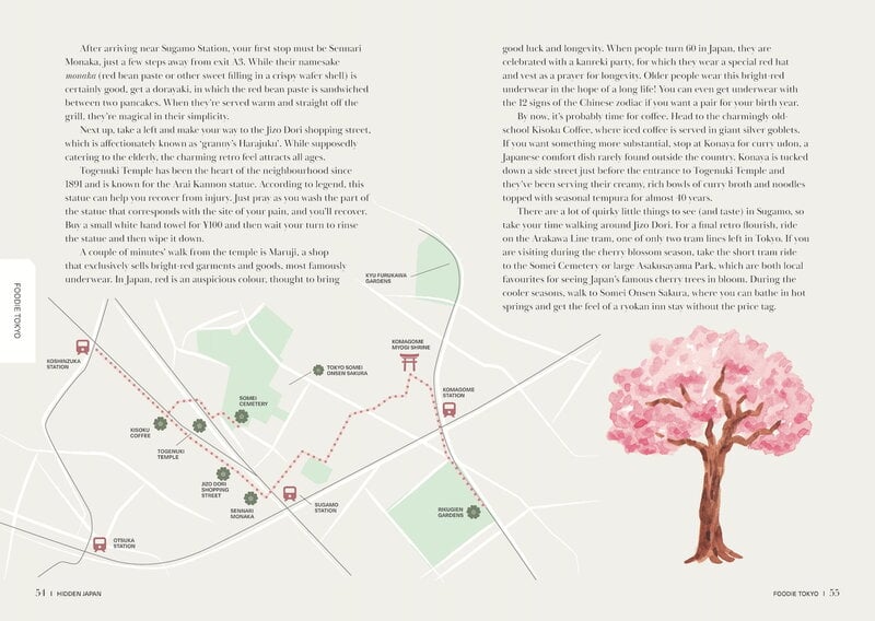 Smith Street Books Hidden Japan: A Guidebook to Tokyo & Beyond, immagine extra