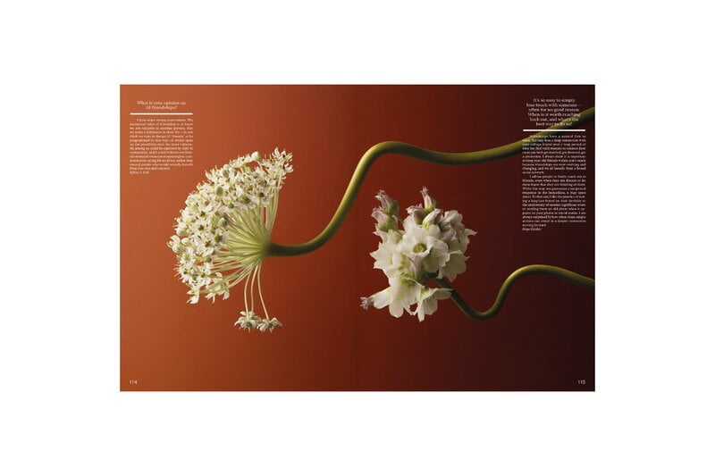 Kinfolk Kinfolk magazine, issue 57, extra image