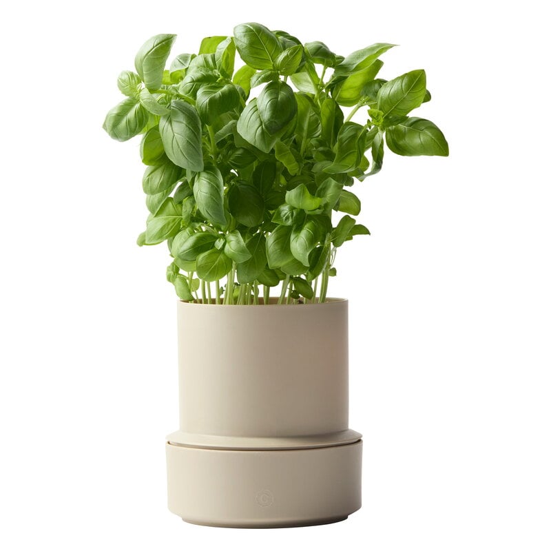 Crushgrind Billund self-watering pot, cumin, extra image