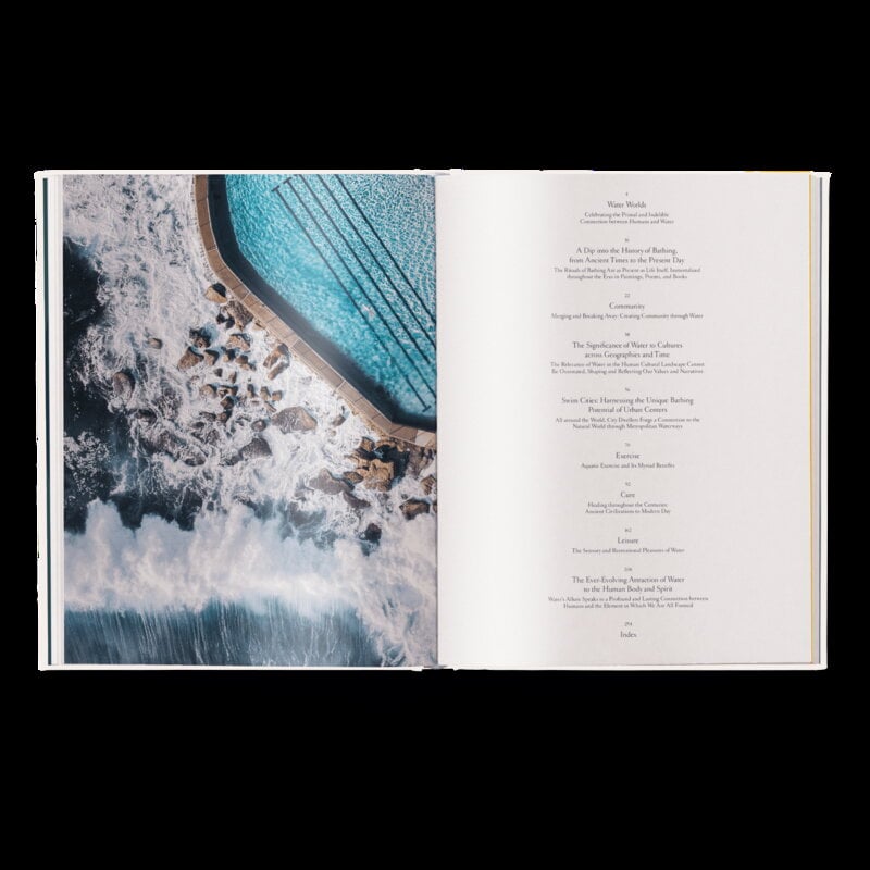 Gestalten The Nature of Swimming (Updated Edition), view 4
