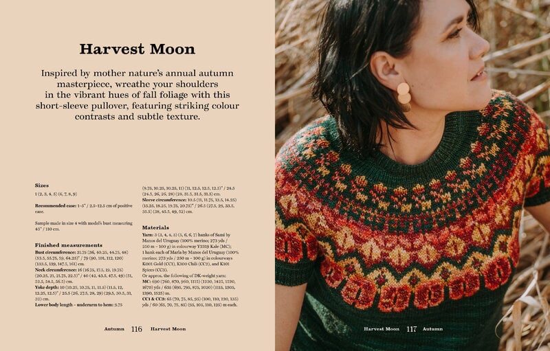 Laine Publishing Seasons of Stitches, extra image