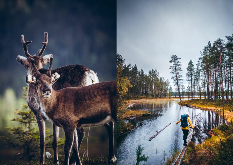 Cozy Publishing Retkiruokakirja – Kasvisreseptejä helpoista eväistä vaellusaterioihin, extra image