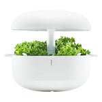Smart Garden 6, white Smart Garden 6, white