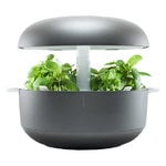 Smart Garden 6, grey Smart Garden 6, grey