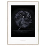 Essence of Ballet 06 juliste Essence of Ballet 06 juliste