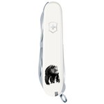 Victorinox pocket knife, Bear