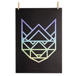 Rainbow Racoon B juliste Rainbow Racoon B juliste