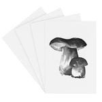 Posters, Wild Mushroom set med miniposters, 4 st, Vit