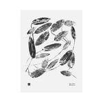 Posters, Pondweed poster, 30 x 40 cm, White