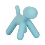 Puppy, M, turquoise Puppy, M, turquoise