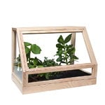 Greenhouse Mini, ash Greenhouse Mini, ash