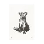 Posters, Fox poster, 30 x 40 cm, White