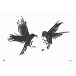 Raging Ravens poster, 100 x 70 cm Raging Ravens poster, 100 x 70 cm