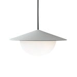 Pendant lamps, Alley pendant, integrated LED, small, grey, Gray