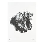 Posters, Bear poster, 50 x 70 cm, White