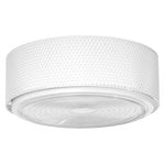 Flush ceiling lights, G13 ceiling/wall lamp, large, white, White