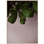 Green Leaves juliste Green Leaves juliste