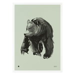 Posters, Gentle Bear poster, 50 x 70 cm, spring green, Black