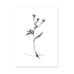 September Flowers #2 juliste September Flowers #2 juliste