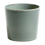 Hay Vaso Botanical Family, L, dusty green
