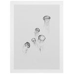 Jellyfish juliste Jellyfish juliste