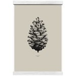 Nature 1:1 Pine Cone poster, beige Nature 1:1 Pine Cone poster, beige