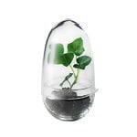 Grow mini greenhouse, S