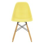 Ruokapöydän tuolit, Eames DSW tuoli, citron RE - vaahtera, Keltainen