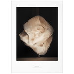 Essence of Ballet 01 juliste Essence of Ballet 01 juliste