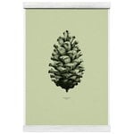 Nature 1:1 Pine Cone juliste, light forest green Nature 1:1 Pine Cone juliste, light forest green