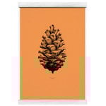 Nature 1:1 Pine Cone juliste, forest orange Nature 1:1 Pine Cone juliste, forest orange