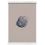 Nature 1:1 Hailstone, everest grey Nature 1:1 Hailstone, everest grey