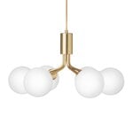 Apiales 6 pendant, brushed brass - opal white