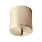, Ceiling cup, brushed brass, Gold
