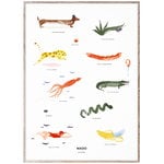 Poster, Poster The Mado Family, 50 x 70 cm, Bianco