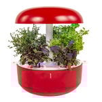 Smart Garden 6, red Smart Garden 6, red