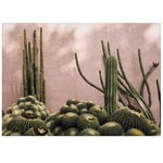 Plants on Pink poster Plants on Pink poster